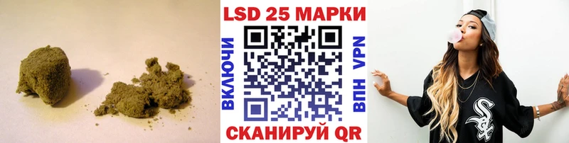 даркнет телеграм  Заинск  ЛСД экстази ecstasy 