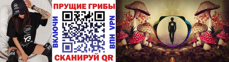 Псилоцибиновые грибы Magic Shrooms  Заинск 